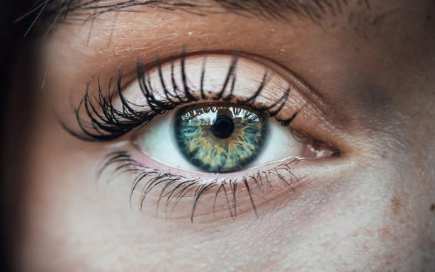 Lash Services Close up of eyelashes